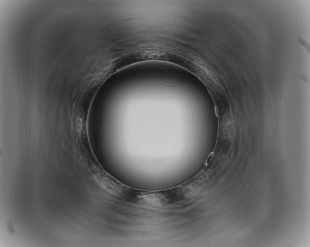 X0000097640417200802291410