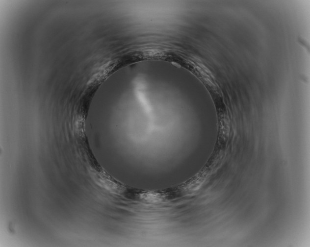 X0000097640419200802291410