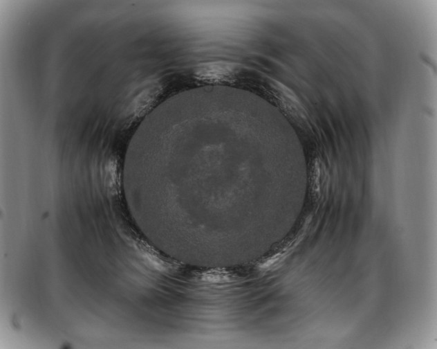 X0000097640420200802291410