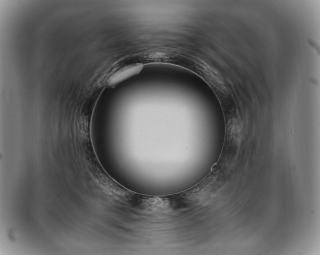 X0000097640421200802291410