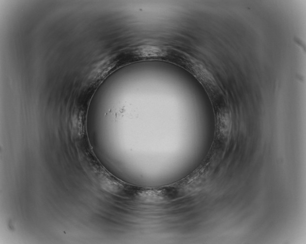 X0000097640422200802291410
