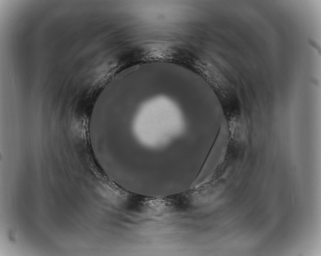 X0000097640423200802291410