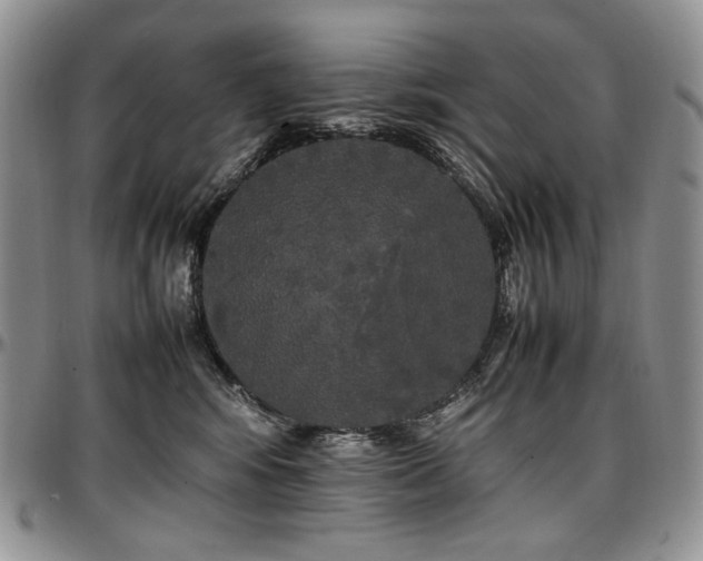 X0000097640424200802291410
