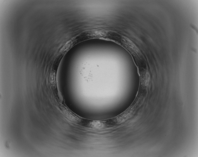 X0000097640425200802291410