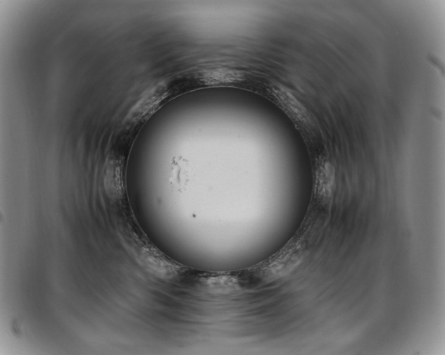 X0000097640426200802291410