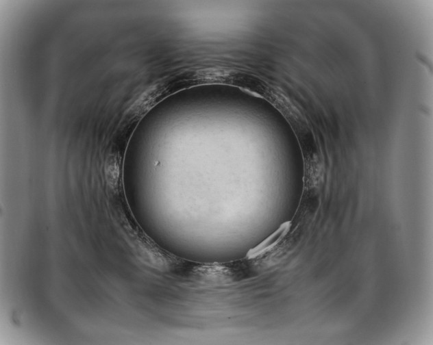 X0000097640427200802291409