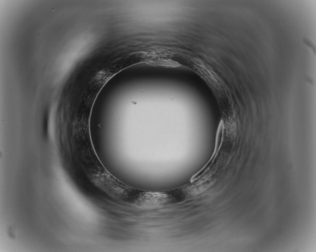 X0000097640429200802291409