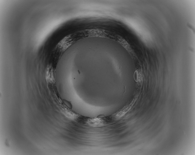 X0000097640431200802291409