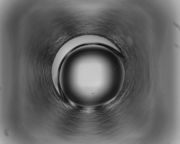 X0000097640432200802291409