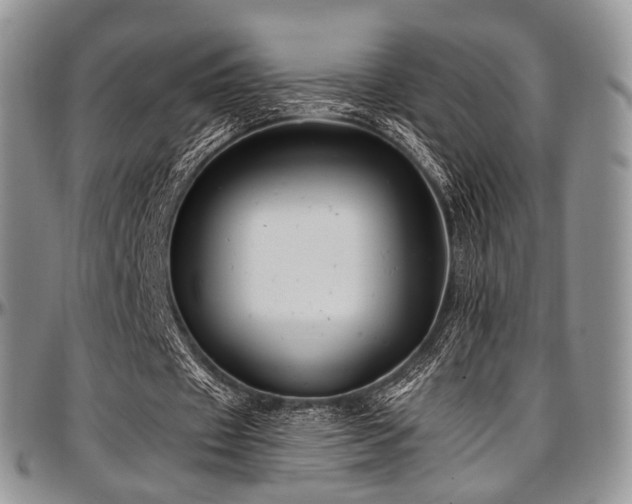 X0000097640433200802291409