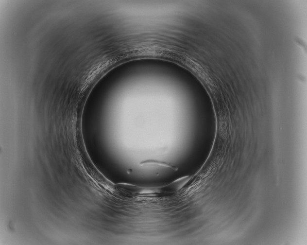 X0000097640434200802291409