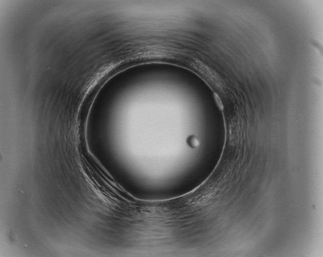 X0000097640436200802291409