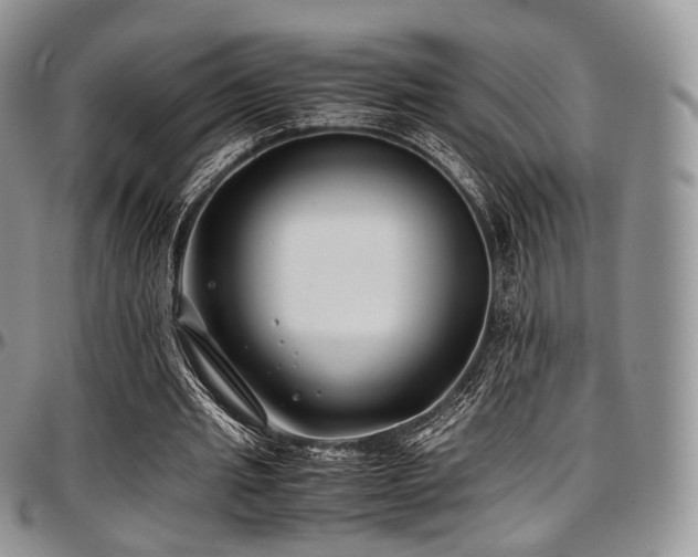 X0000097640437200802291409