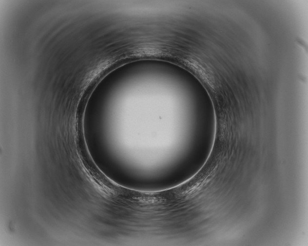 X0000097640439200802291409