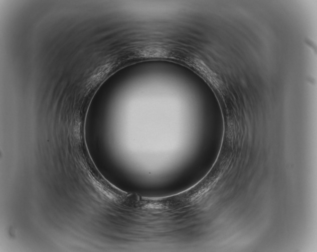 X0000097640441200802291409