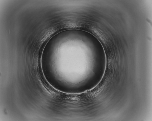 X0000097640443200802291409