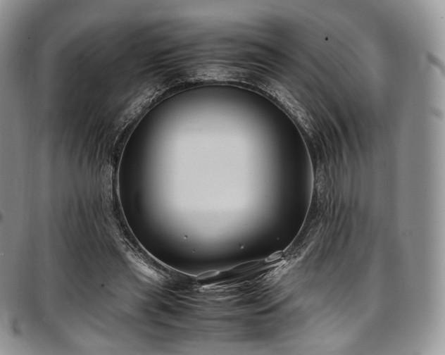 X0000097640445200802291409