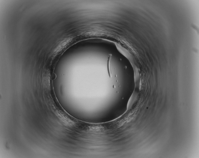 X0000097640446200802291409