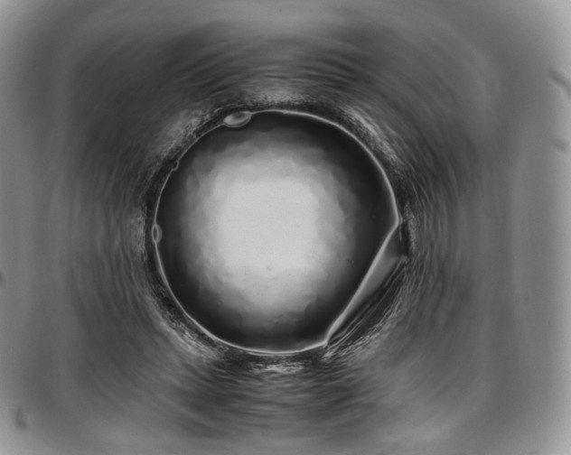 X0000097640447200802291409