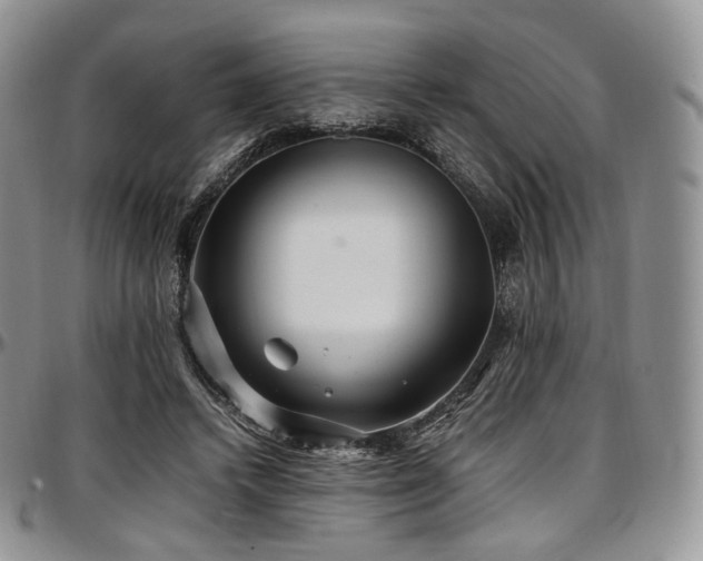 X0000097640448200802291409