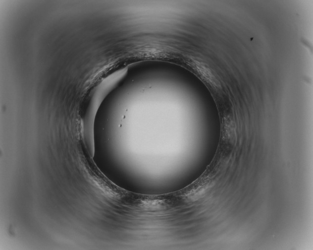 X0000097640450200802291409