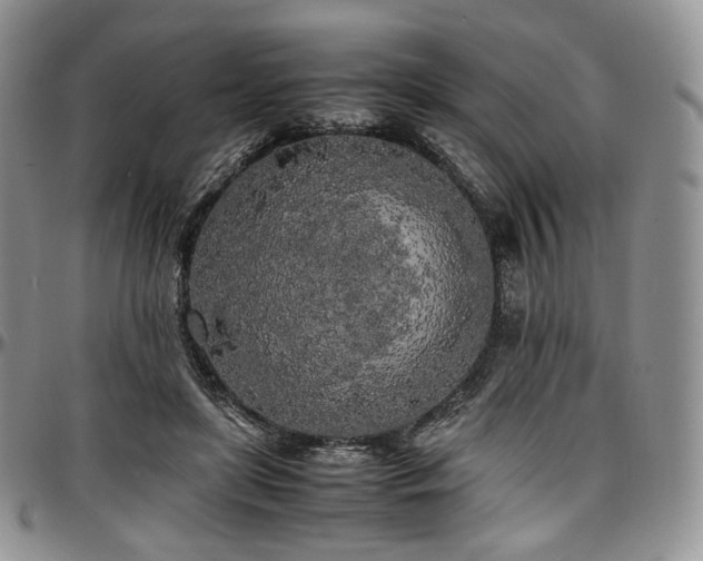 X0000097640451200802291409