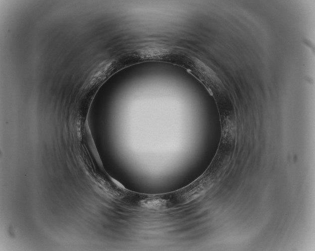 X0000097640452200802291409