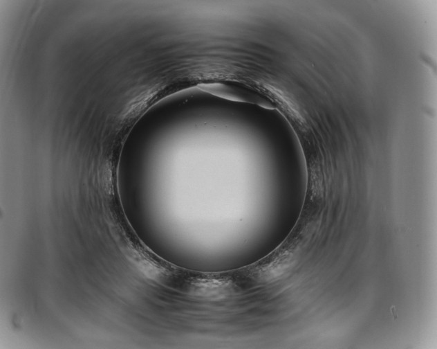 X0000097640453200802291409