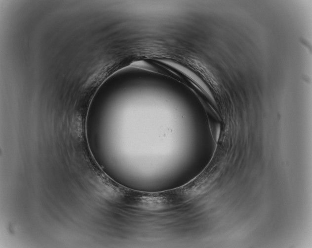 X0000097640457200802291409