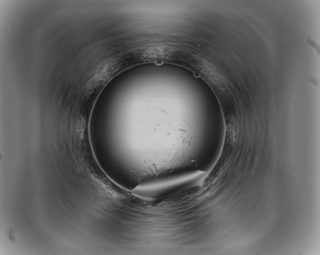 X0000097640458200802291409