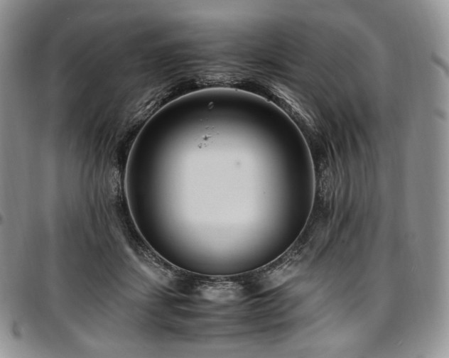 X0000097640459200802291409