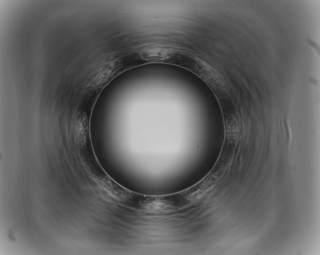 X0000097640460200802291409