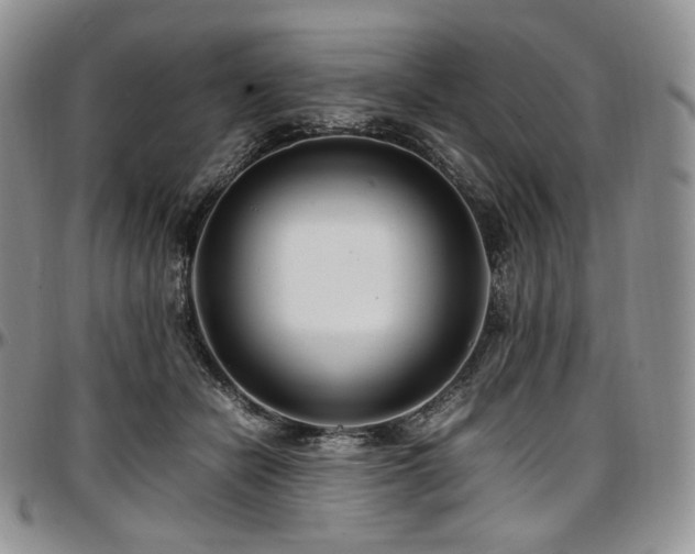 X0000097640462200802291409