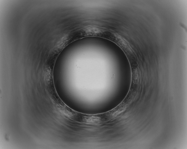 X0000097640463200802291409