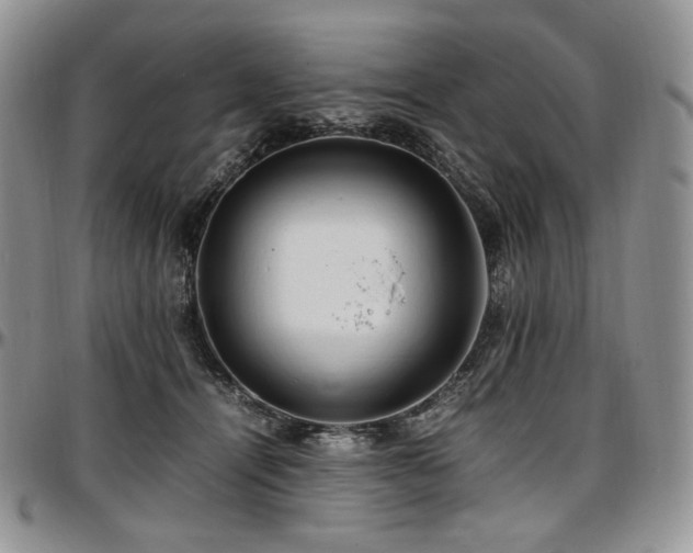 X0000097640464200802291409