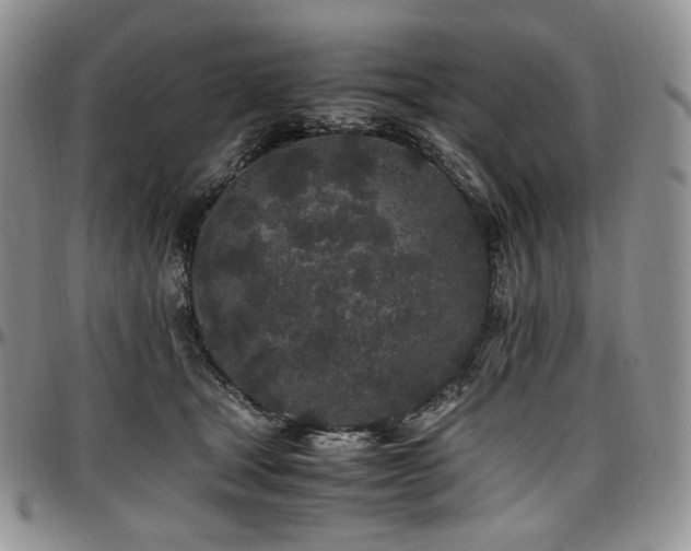X0000097640465200802291409