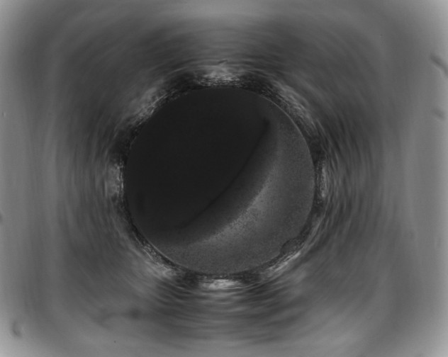 X0000097640467200802291409