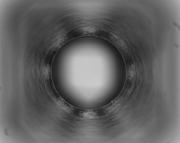 X0000097640468200802291409
