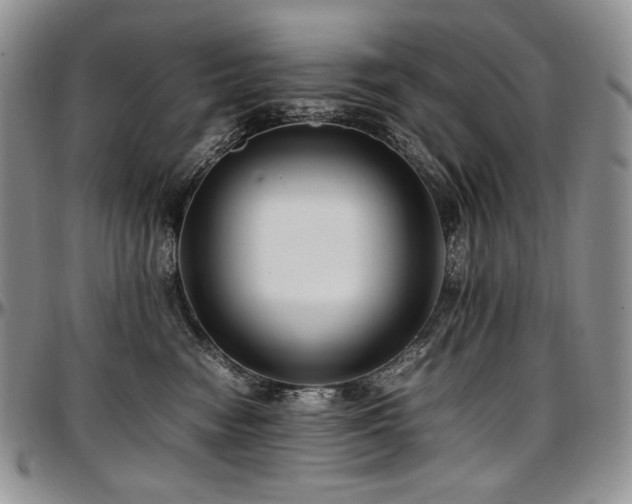 X0000097640474200802291409