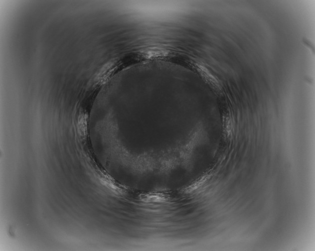 X0000097640475200802291409
