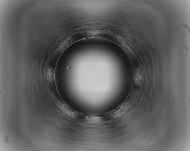 X0000097640476200802291409