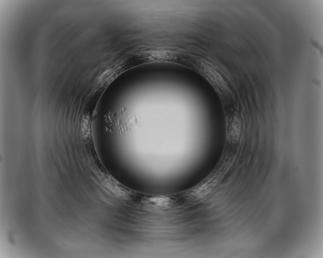 X0000097640478200802291409
