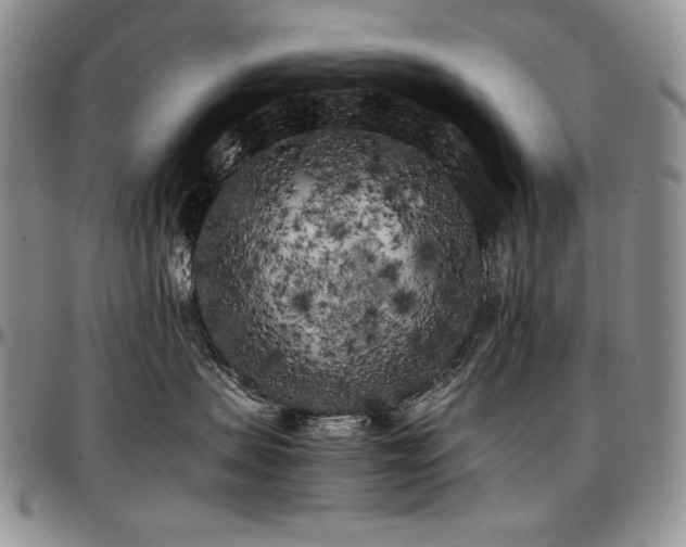 X0000097640479200802291409