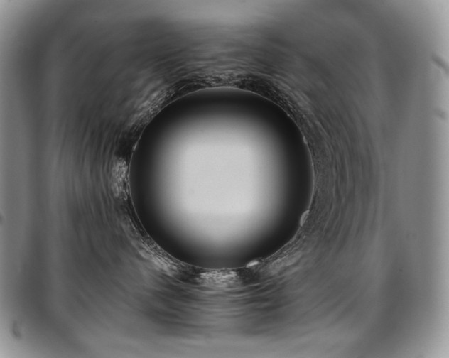 X0000097640480200802291409