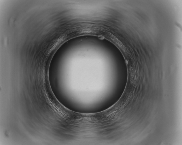X0000097640482200802291409