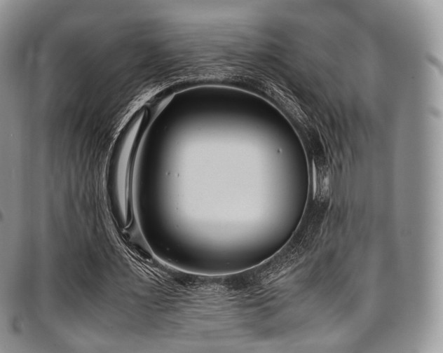 X0000097640483200802291409