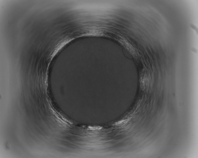 X0000097640484200802291409