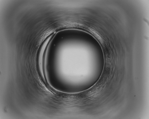 X0000097640485200802291409