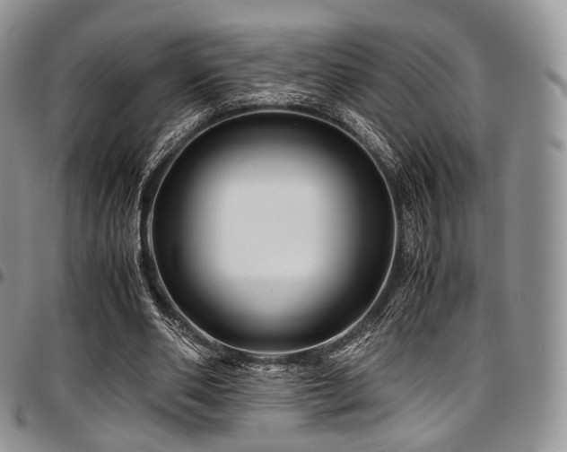 X0000097640486200802291409