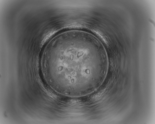 X0000097640487200802291408